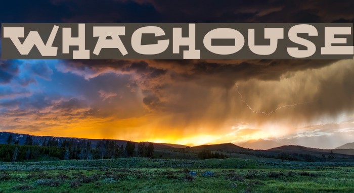 Whachouse Font examples