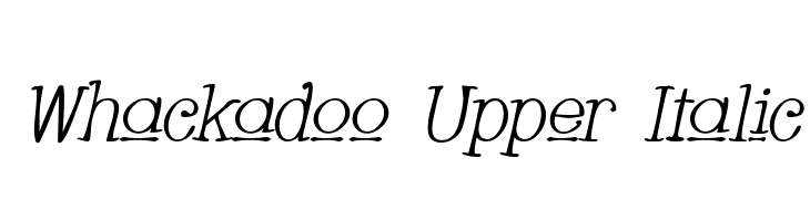 Whackadoo Upper Italic Font