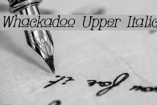 Whackadoo Upper Italic Font examples