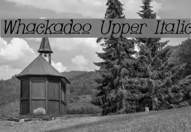 Whackadoo Upper Italic Font examples