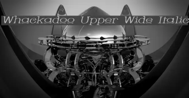 Whackadoo Upper Wide Italic Fuentes examples