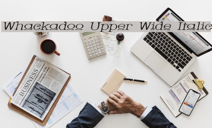 Whackadoo Upper Wide Italic Font examples
