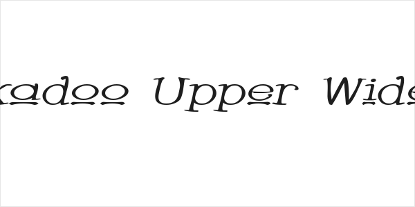 Whackadoo Upper Wide Italic Logo