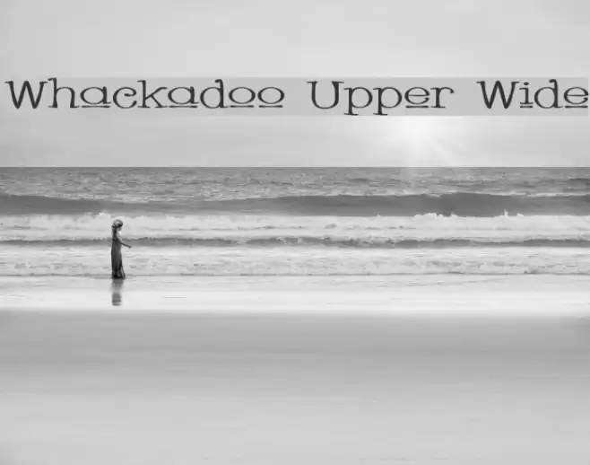Whackadoo Upper Wide Font examples