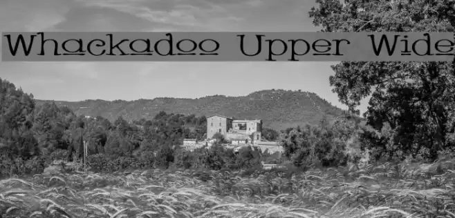 Whackadoo Upper Wide Font examples