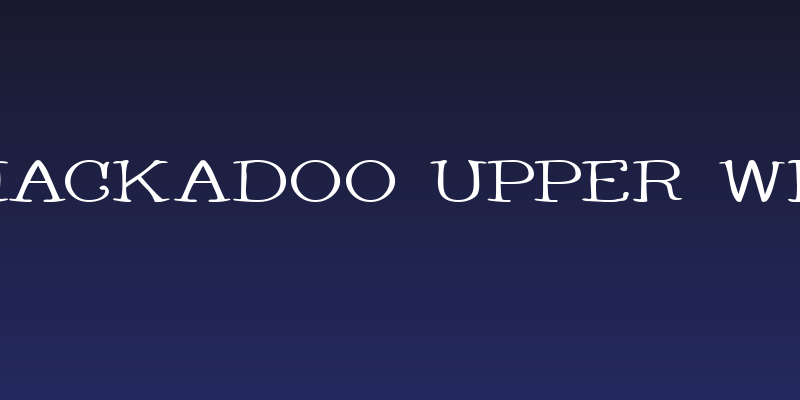 Whackadoo Upper Wide Social Header
