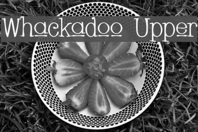 Whackadoo Upper フォント examples