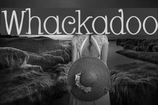Whackadoo Font examples