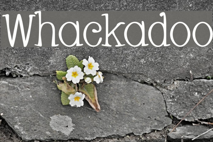 Whackadoo Font examples