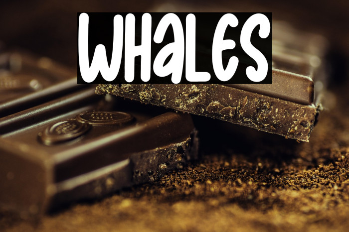 Whales Example 1