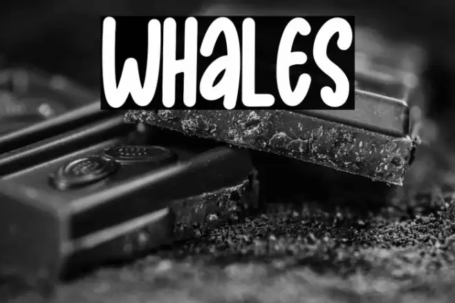 Whales Шрифта examples