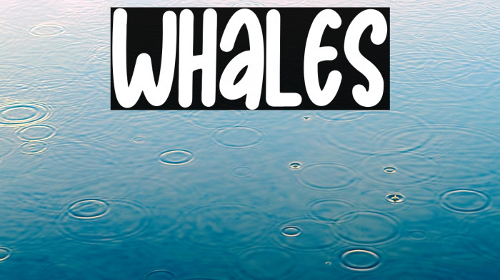 Whales Example 3