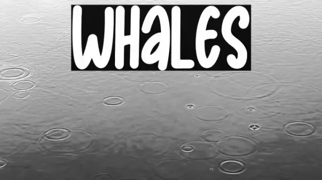 Whales Шрифта examples