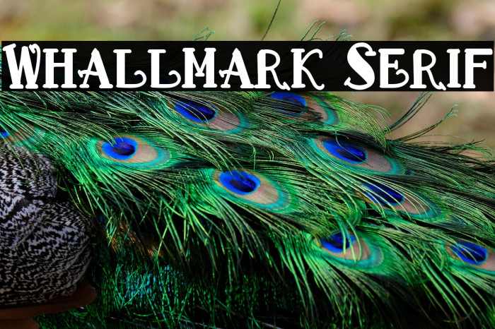 Whallmark Serif Example 1