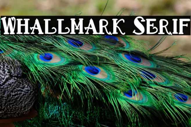 Whallmark Serif Example 1