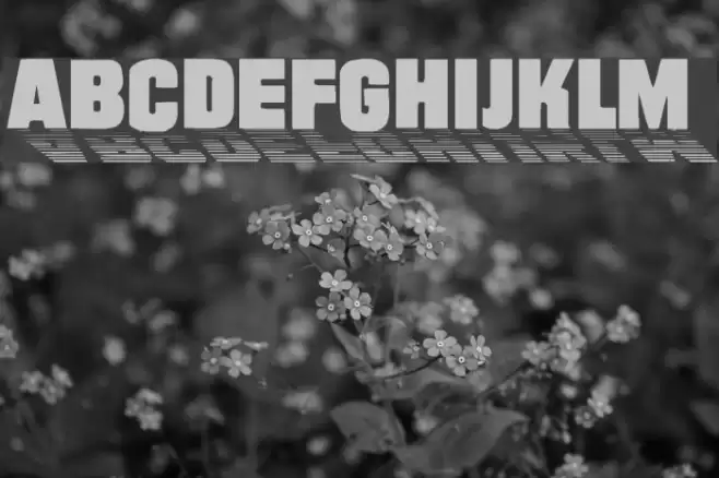 Wharmby Font examples