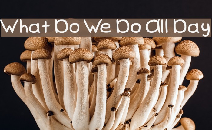 What Do We Do All Day Font examples