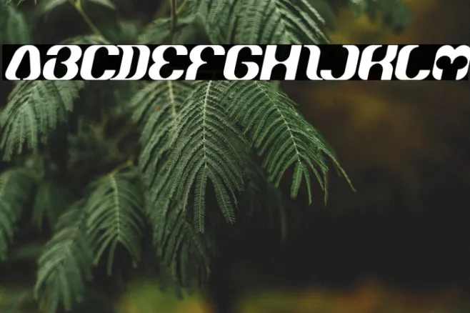 What Ever You Are Bold Italic Example 1