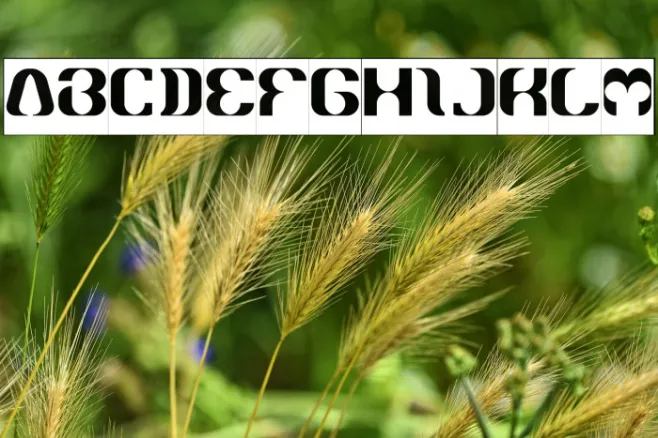 What Ever You Are-Inverse Example 1