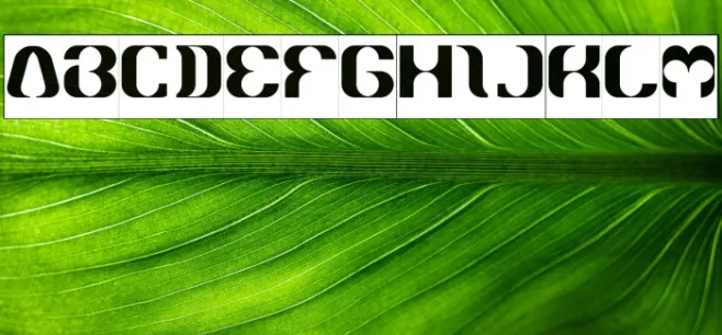 What Ever You Are-Inverse Example 2