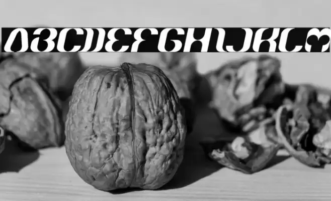 What Ever You Are Italic Font examples