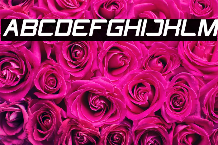 What The FUN Bold Italic Example 1