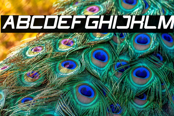 What The FUN Bold Italic Example 2