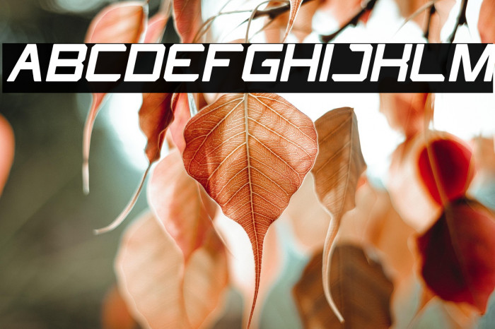 What The FUN Bold Italic Example 3