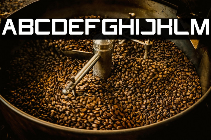 What The FUN Bold Example 1