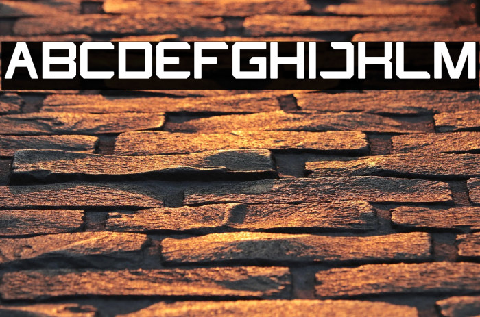 What The FUN Bold Example 3