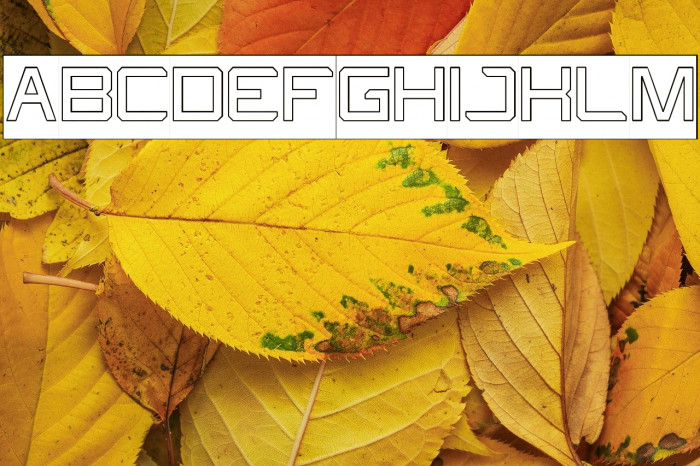 What The FUN-Hollow-Inverse Example 1