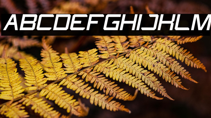 What The FUN Italic Example 3