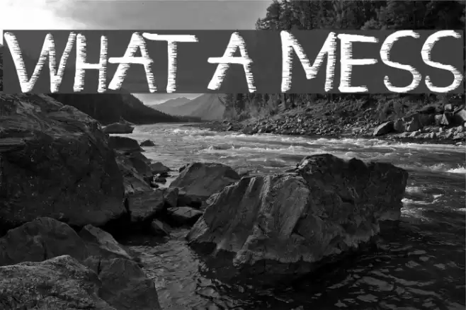What a Mess Fuentes examples