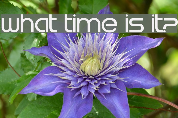What time is it? 字体 examples