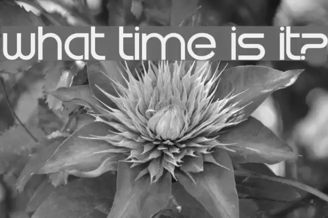 What time is it? Schriftart examples