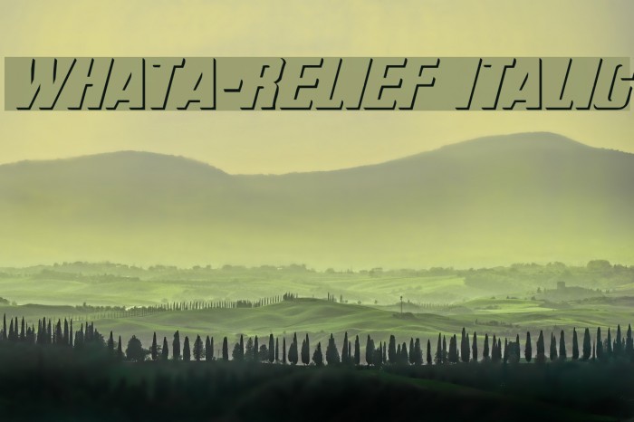 WhatA-Relief Italic Font examples