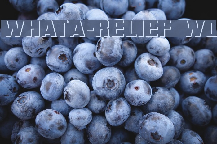 WhatA-Relief Wd Font examples