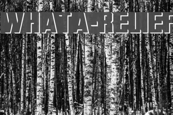 WhatA-Relief Font examples