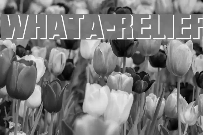 WhatA-Relief Font examples