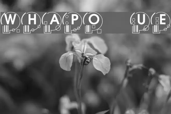 WhatPoss Use Font examples