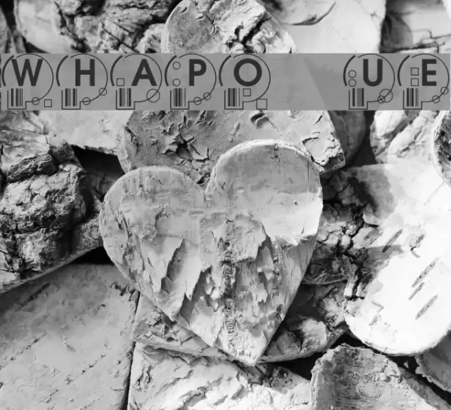 WhatPoss Use Font examples