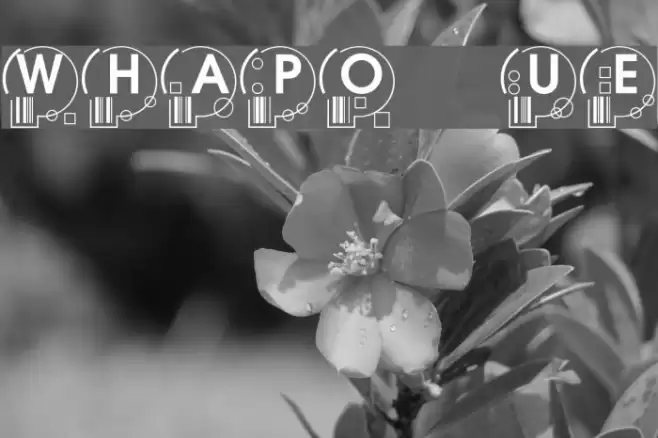 WhatPoss Use Font examples