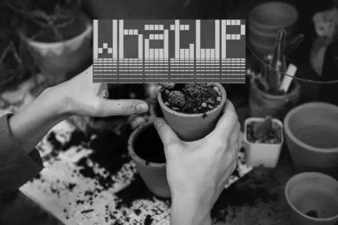 WhatUP Шрифта examples