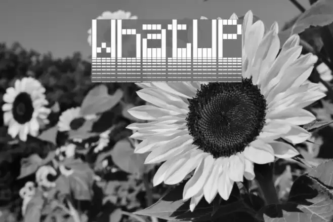 WhatUP Шрифта examples