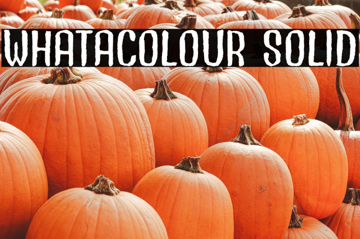 Whatacolour Solid Example 1