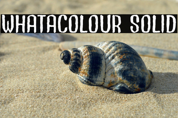 Whatacolour Solid Example 2