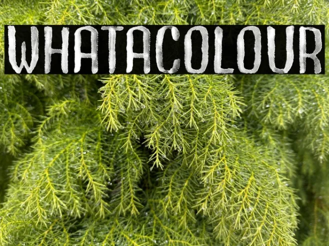 Whatacolour Example 2