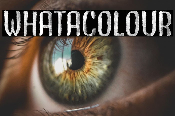 Whatacolour Example 3