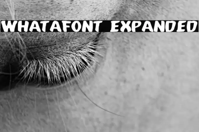 Whatafont Expanded Font examples