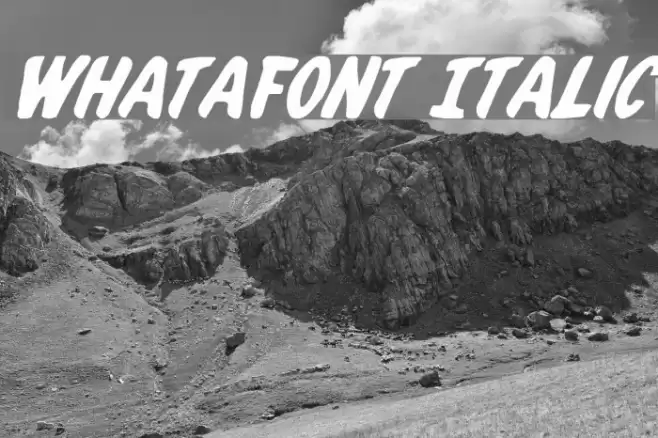 Whatafont Italic Font examples
